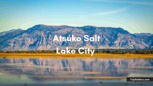 Atsuko Salt Lake City