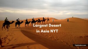 Largest Desert in Asia NYT