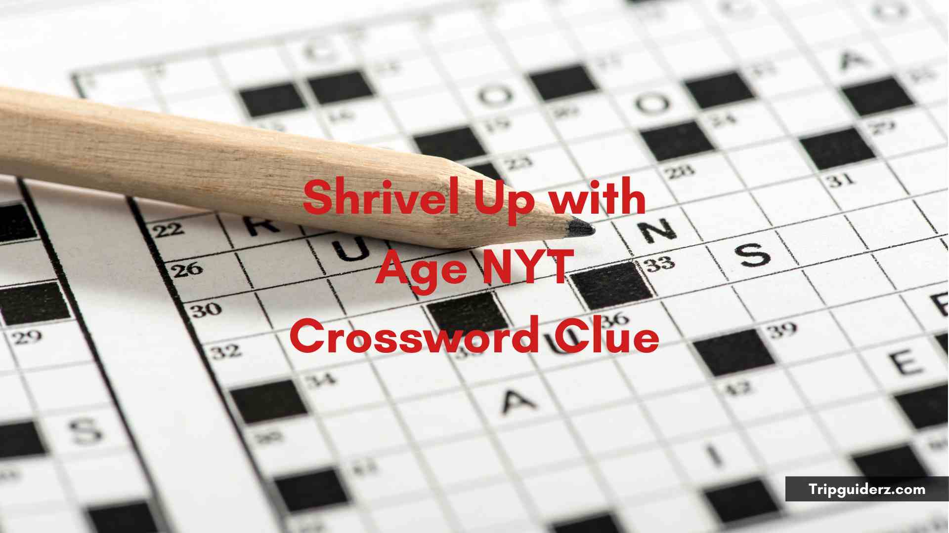 Shrivel Up with Age NYT Crossword Clue