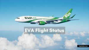 EVA Flight Status