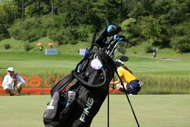 Golf Travel Bags