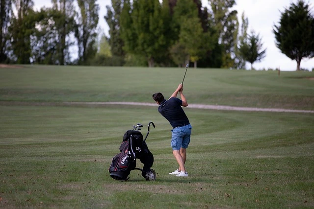 Golf Travel Bags