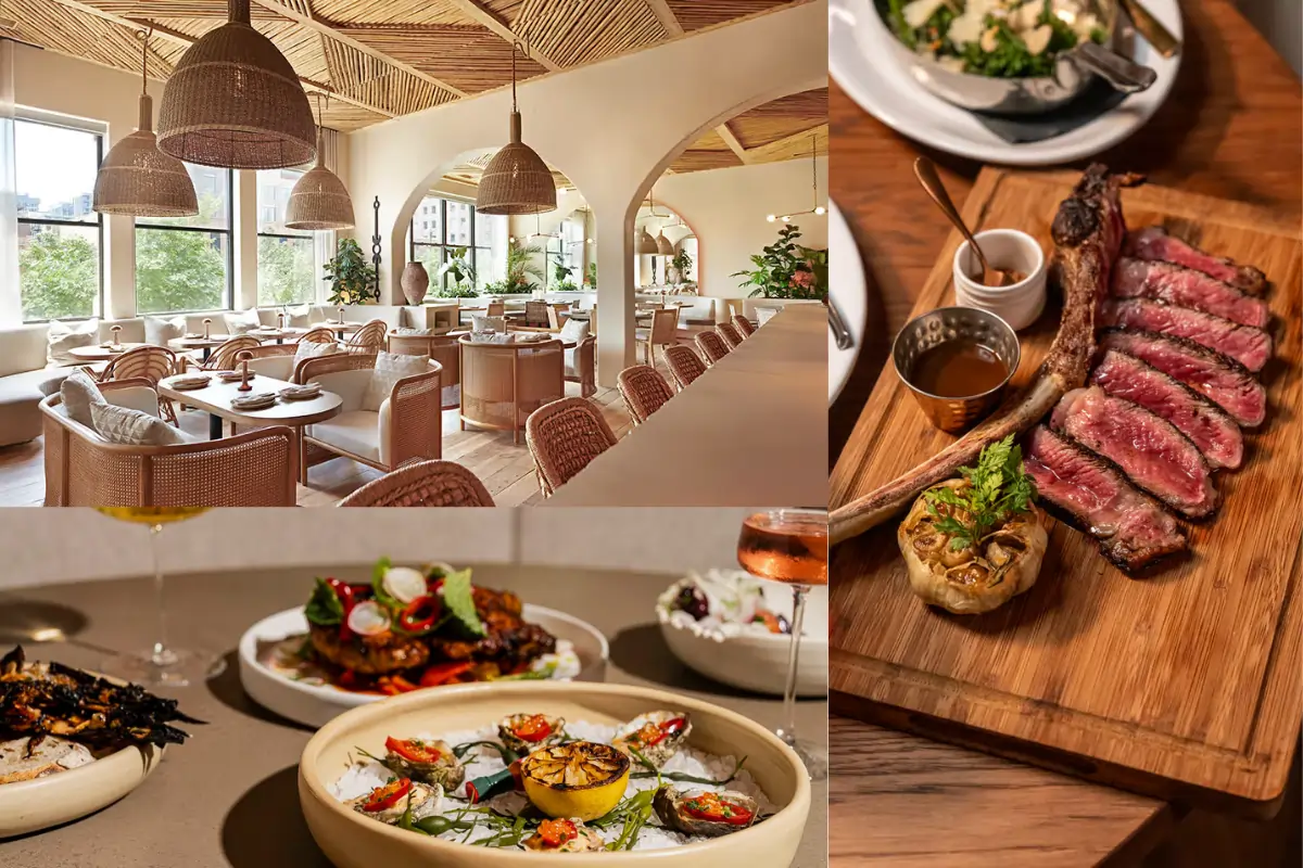 Nisos Prime: The Epitome of Fine Dining in Chicago