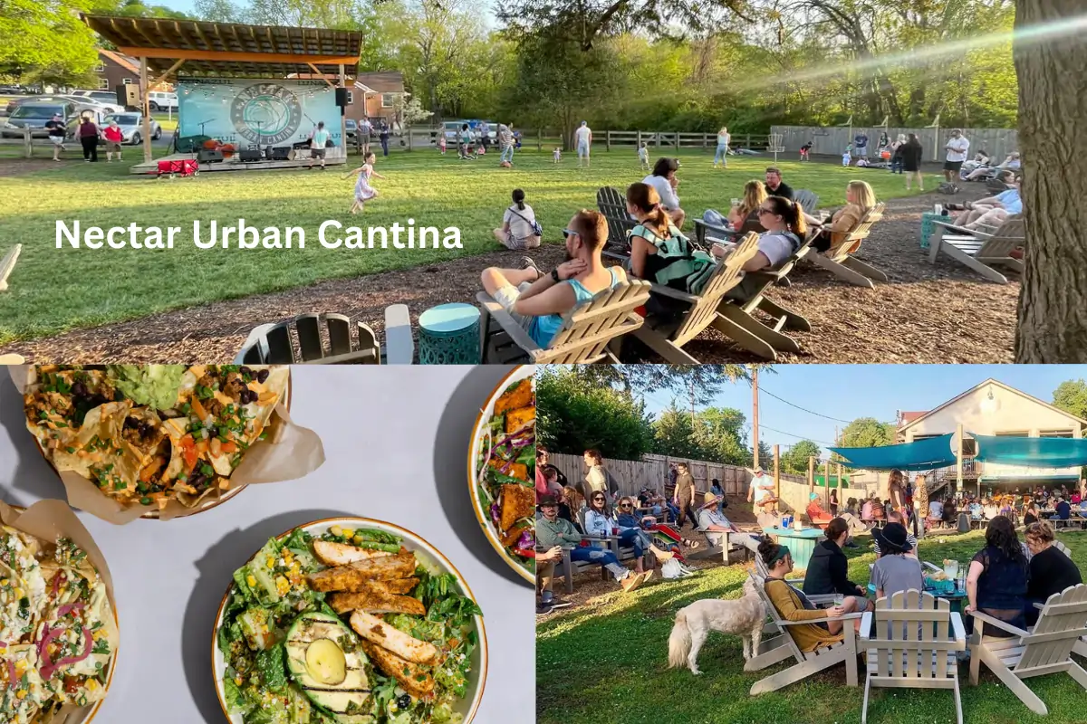 Nectar Urban Cantina | Modern Latin Fusion Bites