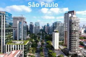 São Paulo: Urban Culture and Contemporary Art