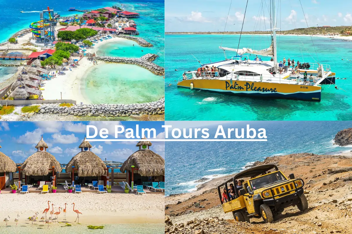 De Palm Tours Aruba | Easy Guided Island Explorations