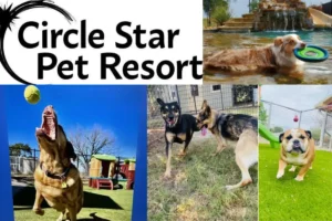 7 Reasons to Choose Circle Star Pet Resort | Prices & Services