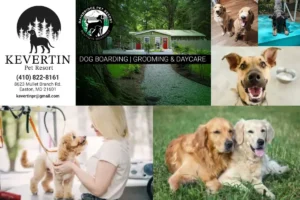 Kevertin Pet Resort | 5-Star Pet Boarding & Grooming