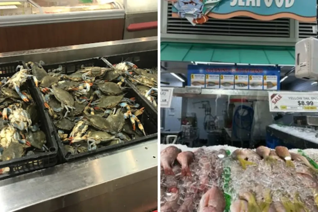 Live Seafood