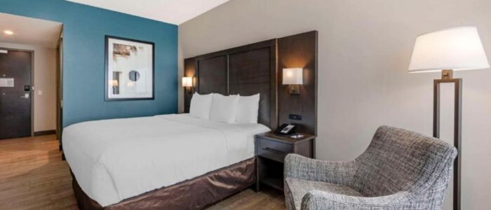 1 King Bed