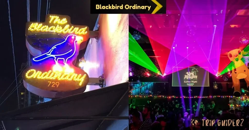 Blackbird Blackbird Orchid nightclub in Miami, showcasing a dynamic nightlife scene with music and social gatherings.