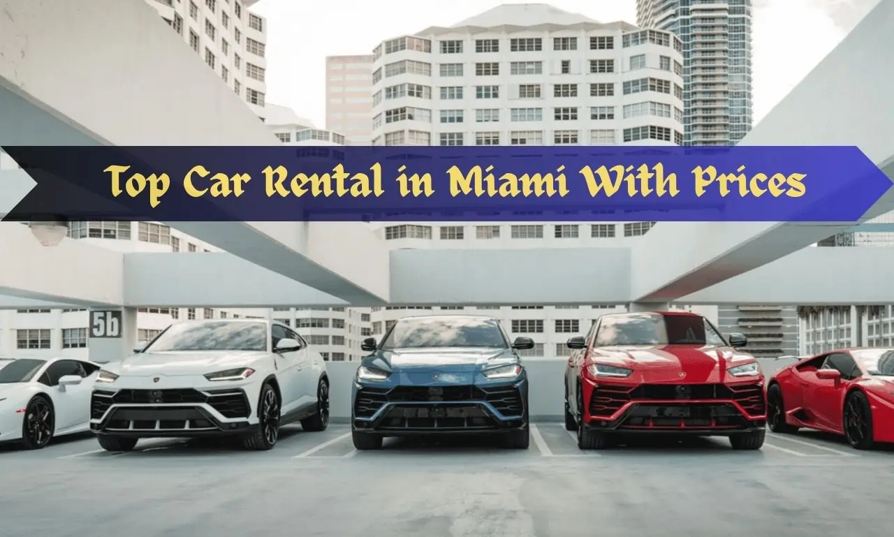 Car Rental In Miami Best Deals Cheap Rates 2025 Car Rental In Miami Best Deals Cheap Rates 2025