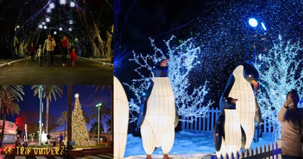 People posing next to beautiful holiday light displays, a decorated Christmas tree, and illuminated penguin figures, highlighting the Instagram-worthy spots at Winter Wonderland Miami