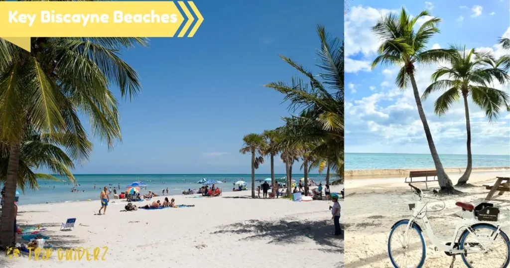 A collage of sunny Key Biscayne beaches, showcasing a wide sandy shoreline with palm trees and a scenic bike path