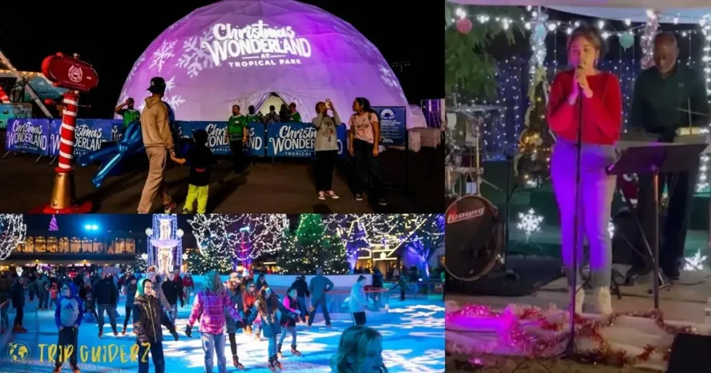 A collage featuring live music, ice skating, and a show inside a lit-up dome, representing the festive entertainment at Winter Wonderland Miami.