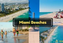 Top 15 Miami Beaches With Photos Guide 2025: For Families, Couples & Parties Top 10 Miami Beaches in 2025: Romantic Escapes, Family Fun, Safety & Eco-Tips