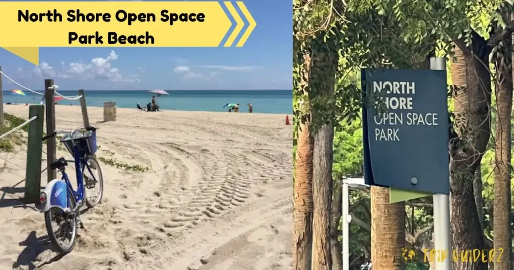 A serene view of North Shore Open Space Park Beach in Miami, featuring a beach path with a bike and a sign for the park