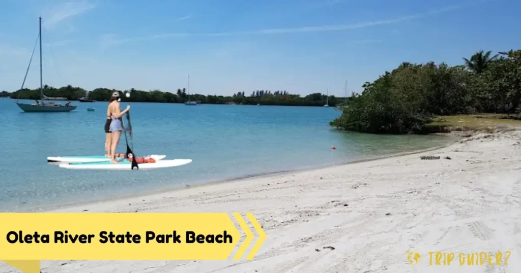 A person paddleboarding on the calm water at Oleta River State Park, a scenic beach and natural park for water sports in Miami