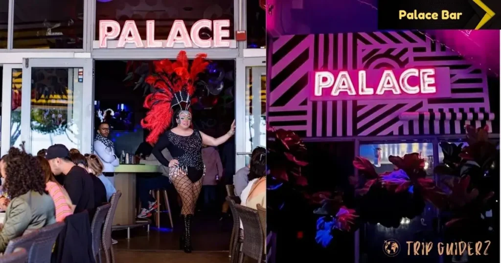 Interior view of the Palace Nightclub in Miami, showcasing its energetic ambiance and colorful decor