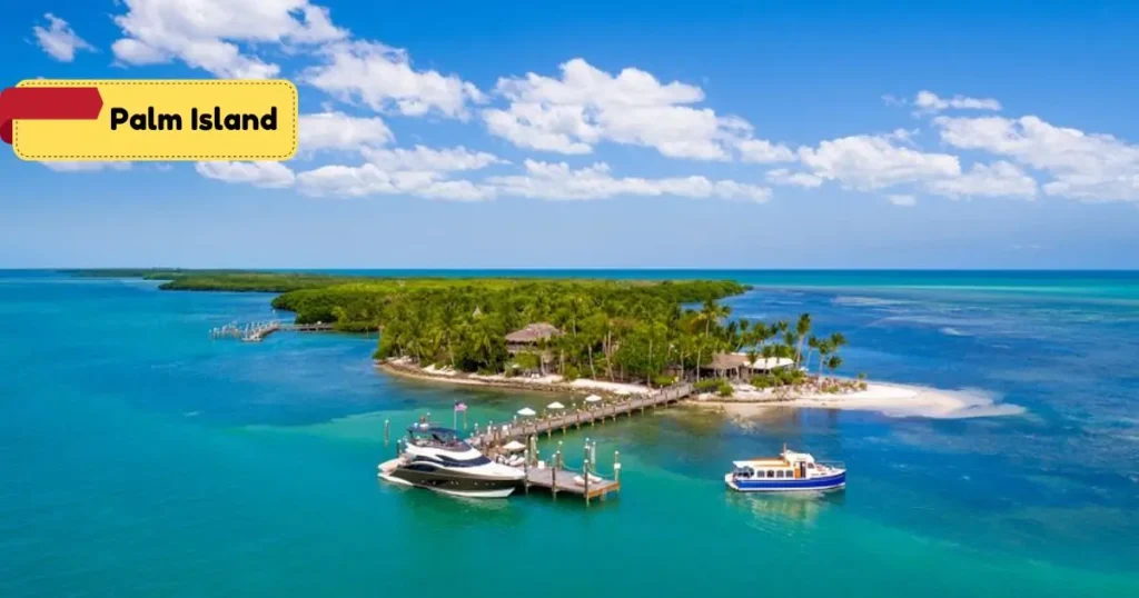 Palm Island