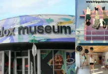 Paradox Museum Miami Reviews: Tickets Prices, Hours & 5 Amazing Exhibits Guide Enjoy 5 Amazing Paradox Museum Miami Exhibits | Tickets & Hours Guide