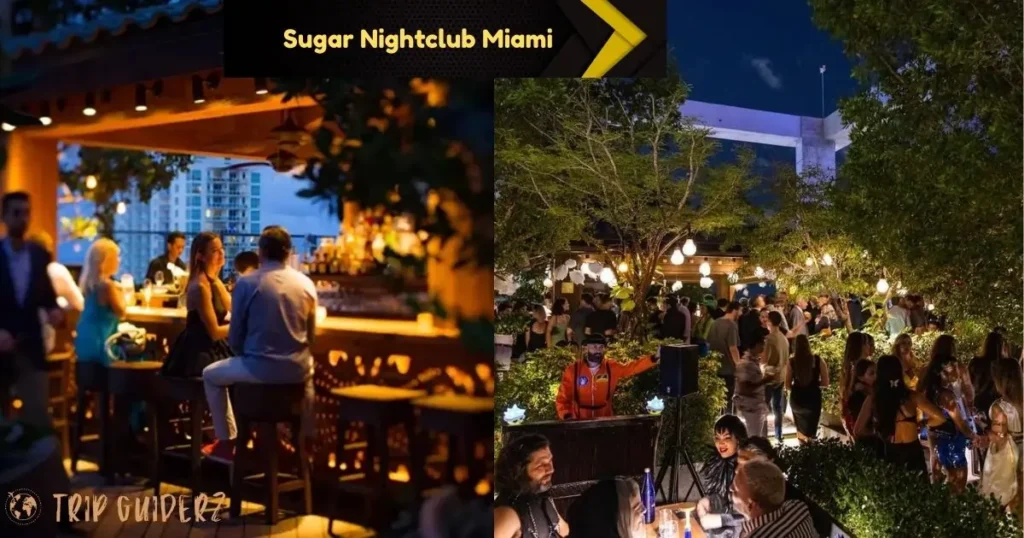 Patrons enjoying cocktails and conversations at the Sugar Miami rooftop club with a city view at night
