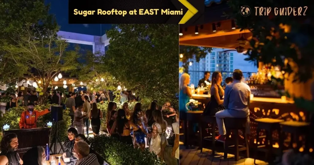 Guests socializing on the outdoor rooftop bar and lounge area at Sugar at EAST Miami