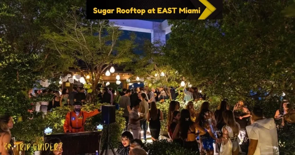 A lively evening at Sugar Rooftop at EAST Miami, showing a crowd of people enjoying the buzzing atmosphere under twinkling lights, one of the best nightlife spots