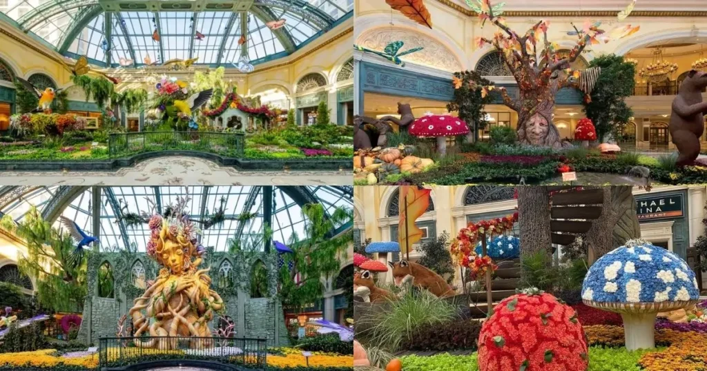 A stunning photo of the famous Bellagio Fountains in Las Vegas, with water shooting into the air in a choreographed show. An inset shows a botanical garden exhibit with a sculpture.