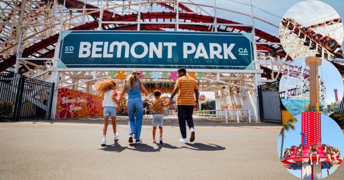 The colorful carousel and classic rides at Belmont Park, a historic amusement park on Mission Beach in San Diego.