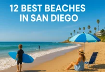 12 Best Beaches in San Diego for Families, Surfing, and Relaxation (2025 Guide) 12 Best Beaches in San Diego for Families, Surfing, and Relaxation (2025 Guide)
