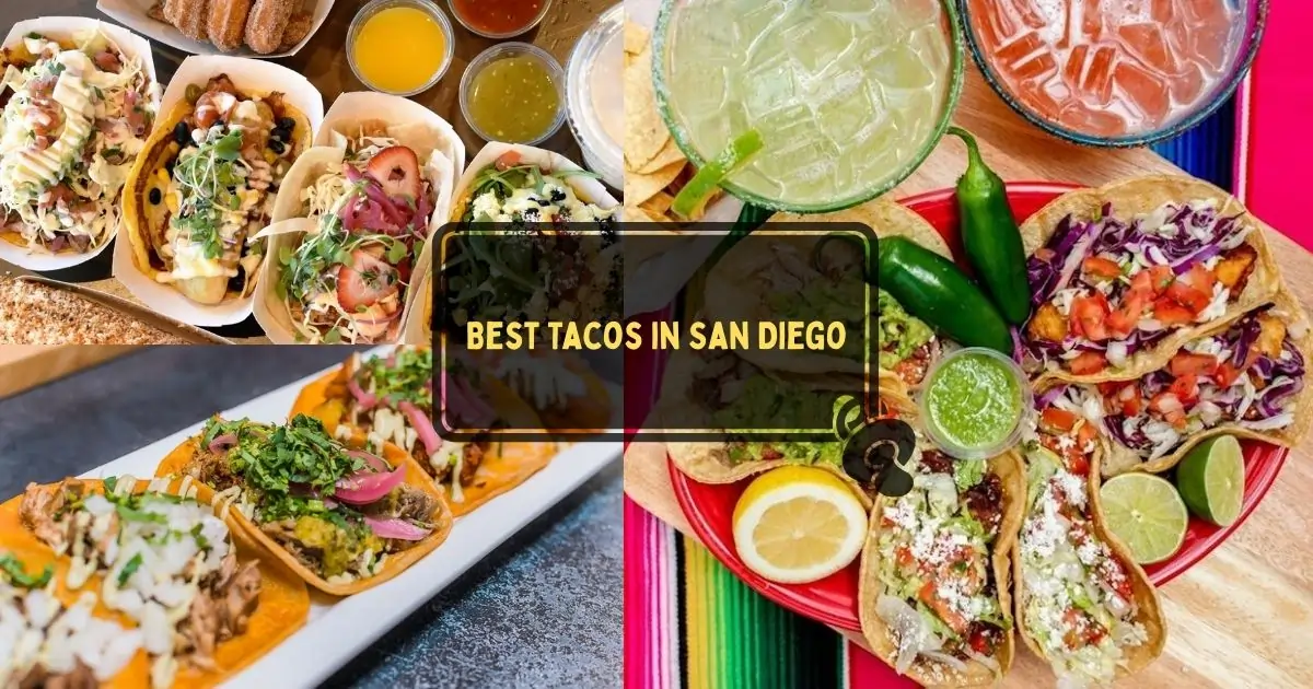 A plate of delicious, authentic tacos, representing the best of San Diego's famous Mexican food scene.