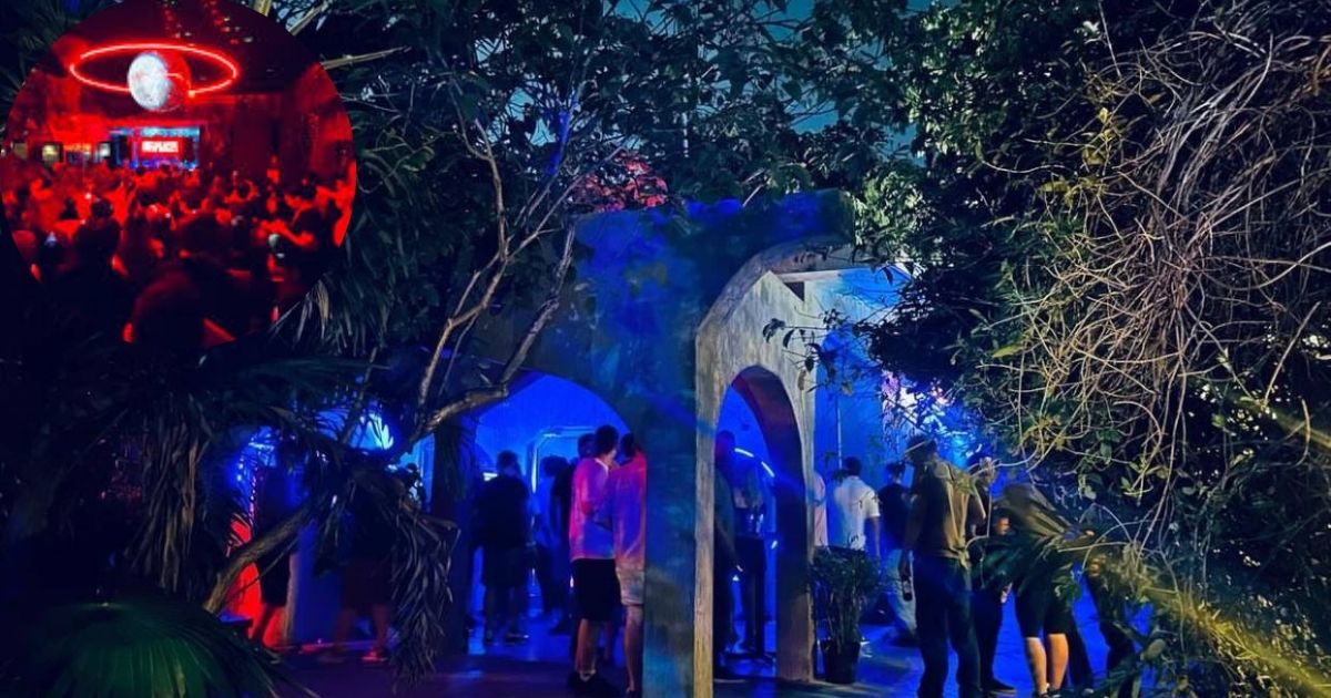 An artistic collage of Bestiario Tulum, showcasing its unique animal-themed sculptures made from natural materials, including a large wooden bird and a smaller creature, highlighting its bohemian and creative atmosphere.