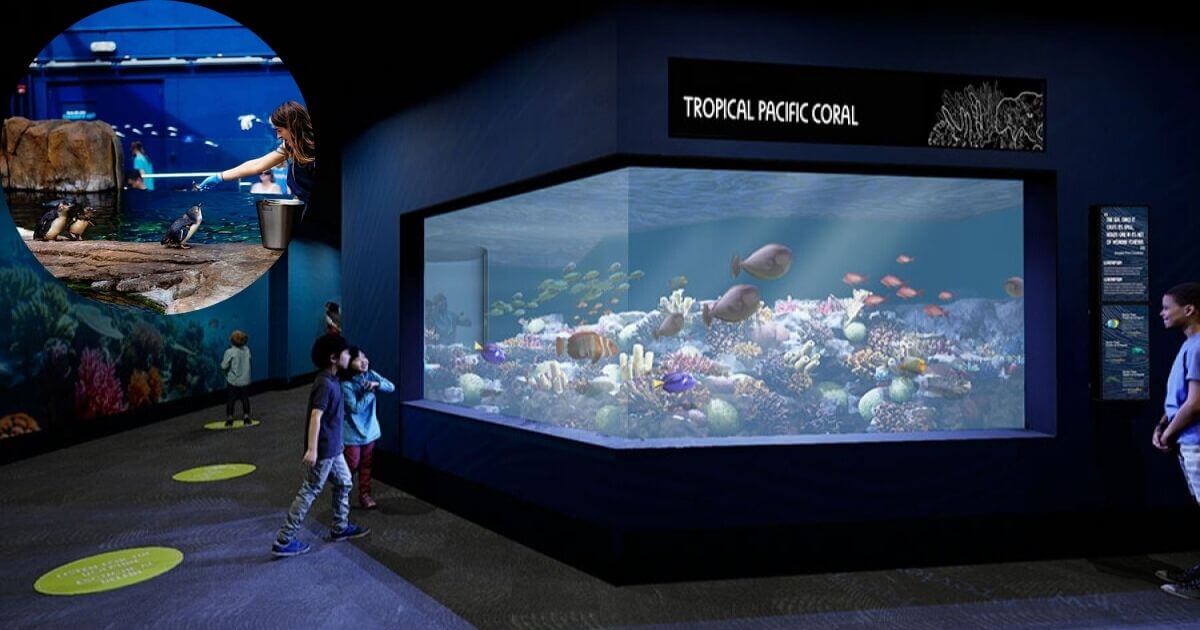 A family-friendly exhibit with educational displays inside the Birch Aquarium at Scripps Institution of Oceanography in San Diego.