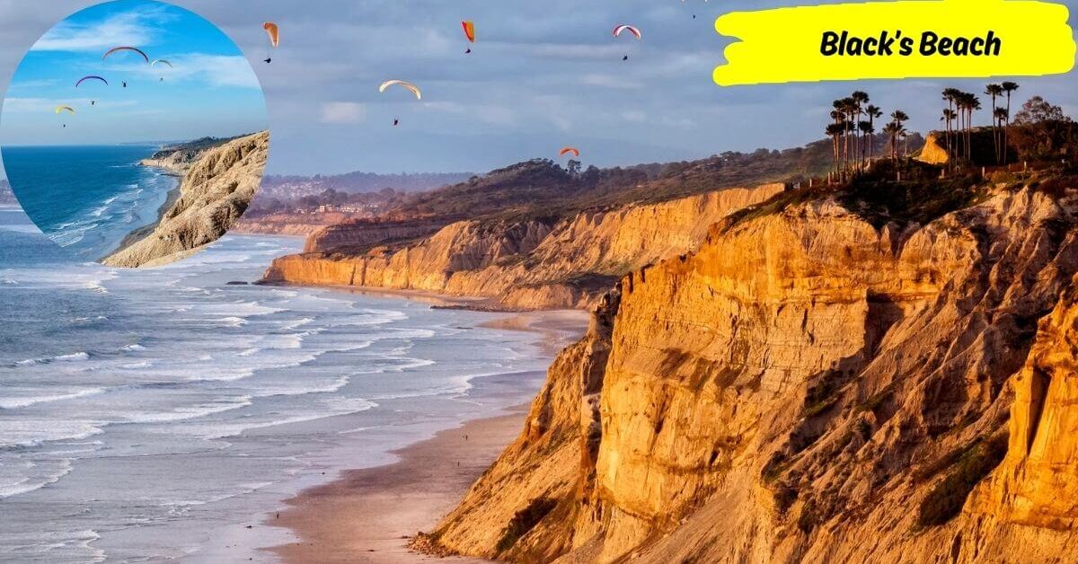 A dramatic view of Black's Beach showing the bluffs of Torrey Pines with people paragliding above, and an inset of the rugged coastline.