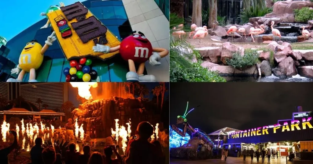 A collage of three budget-friendly attractions in Las Vegas. The images show: a view of the Las Vegas Strip at night, a person riding a go-kart, and a large shark swimming in an aquarium tank.