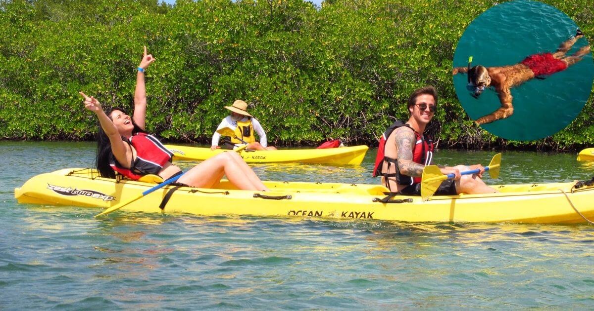 A joyful couple kayaking in bright yellow kayaks on a guided tour through lush mangrove forests. An inset shows a person snorkeling in the clear blue water.