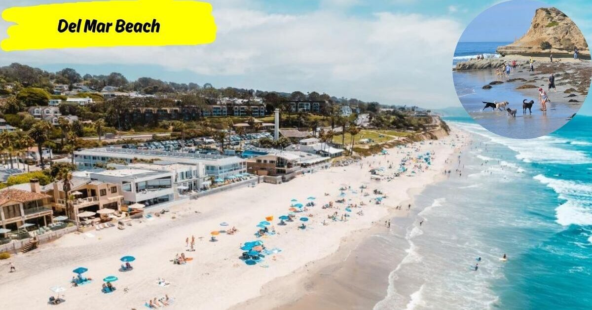 A scenic view of Del Mar Beach showing a wide, sandy shoreline with gentle waves, beachgoers, and cliffs in the background. An inset shows people with their dogs on a rocky part of the beach.