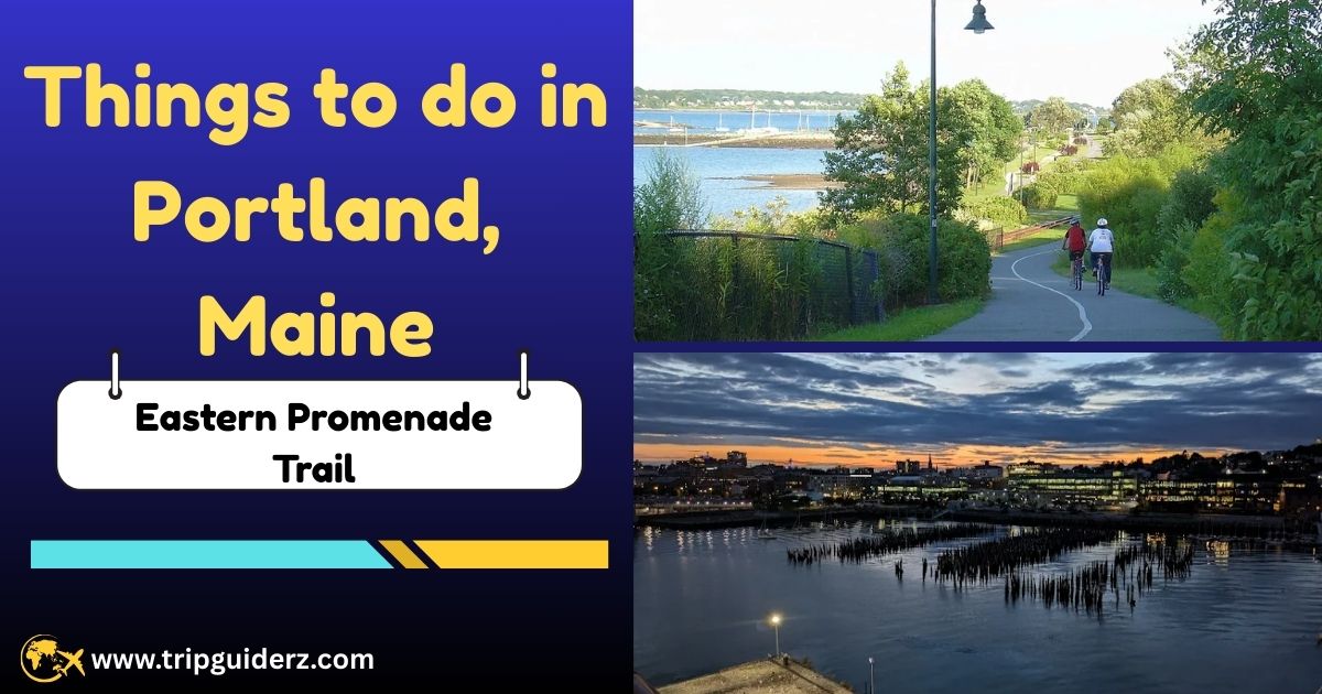 A paved trail along the Eastern Promenade in Portland, Maine, with people walking and biking while enjoying scenic views of Casco Bay and the harbor.