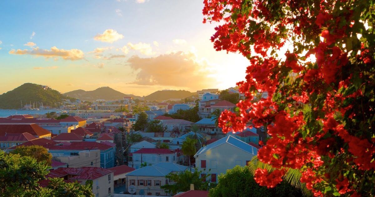 A vibrant sunset view of the colorful rooftops in the historic town of Charlotte Amalie, St. Thomas, with a bright red blooming bougainvillea bush in the foreground.
