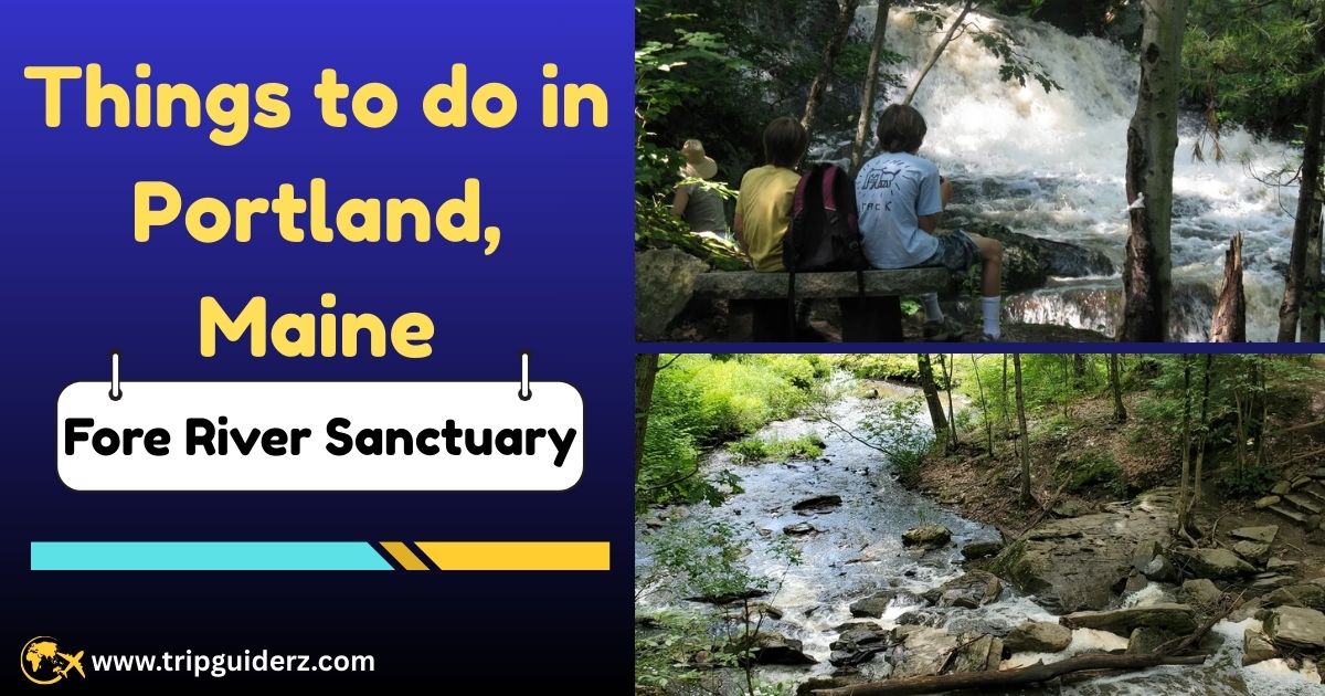 A scenic walking trail at the Fore River Sanctuary in Portland, Maine, a peaceful spot for a nature walk.