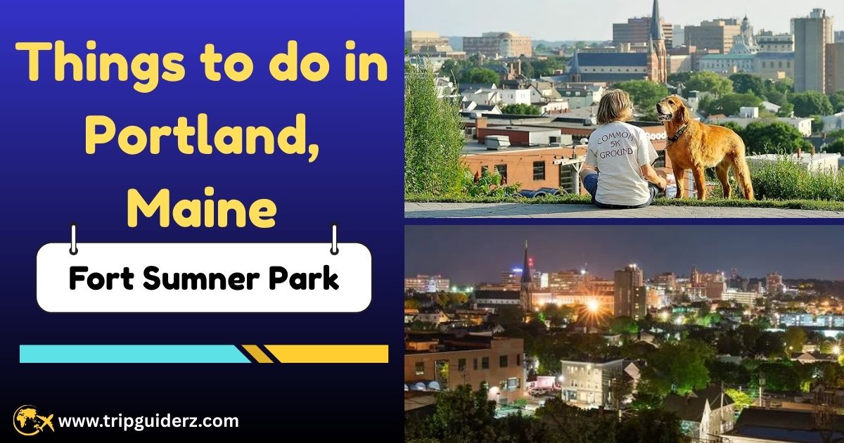 A high vantage point from Fort Sumner Park offering free scenic views of the Portland, Maine, skyline and harbor.