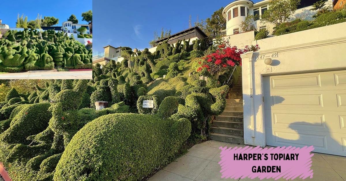 The whimsical, sculpted topiary creatures and shapes at Harper's Topiary Garden, a quirky and free hidden gem in San Diego.