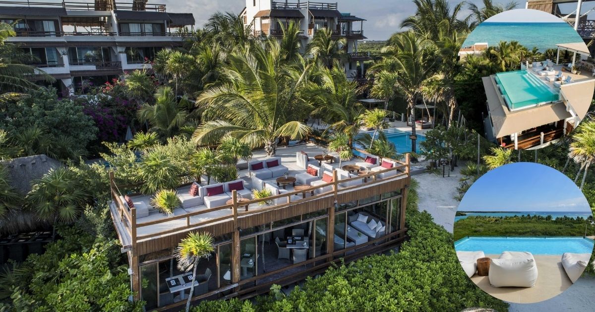 An elevated view of Jashita Hotel Tulum, featuring a modern building with a restaurant on a rooftop terrace, surrounded by lush jungle and a private plunge pool.