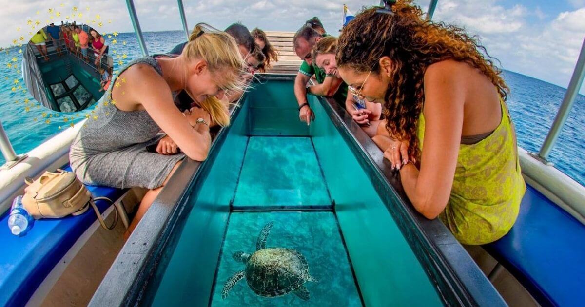 People on a glass-bottom boat looking down through the clear floor at a sea turtle swimming beneath them.