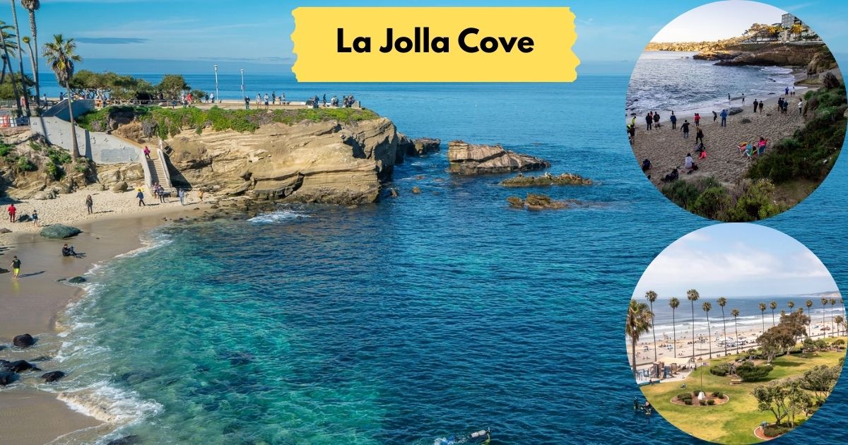 Sea lions sunbathing on the rocks at La Jolla Cove, a popular spot for marine wildlife viewing and swimming in San Diego.