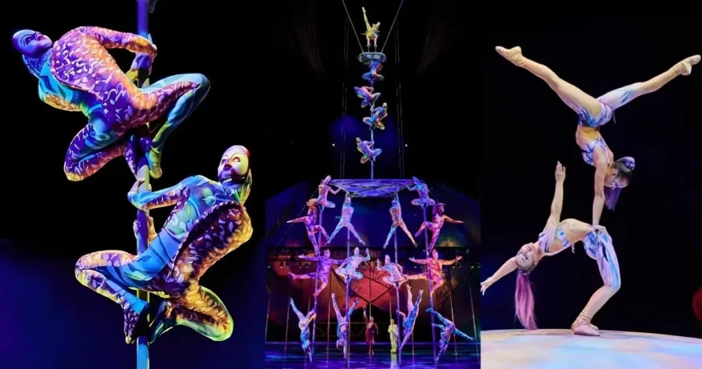 A photo of a live performance of Mystère by Cirque du Soleil, with a group of acrobats on stage in a colorful, vibrant setting. An inset shows an acrobat performing in the air.
