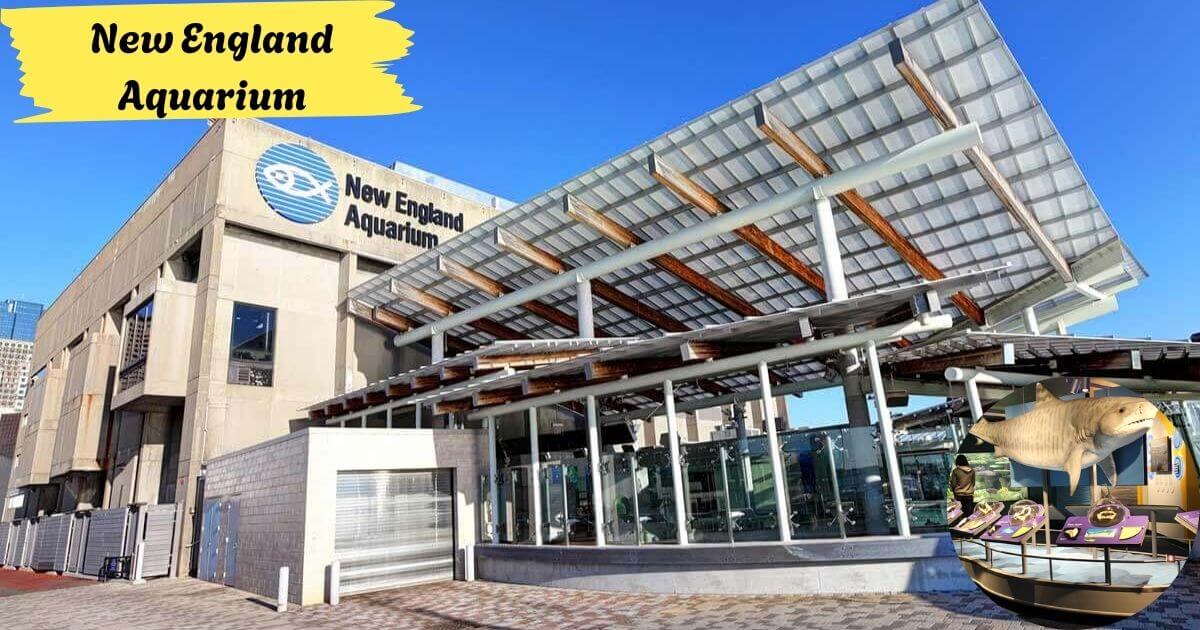New England Aquarium