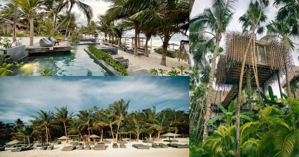 A collage showing the unique eco-chic design of Nômade Hotel Tulum, with its beachfront pool, comfortable loungers, and unique treehouse accommodations surrounded by dense palm trees