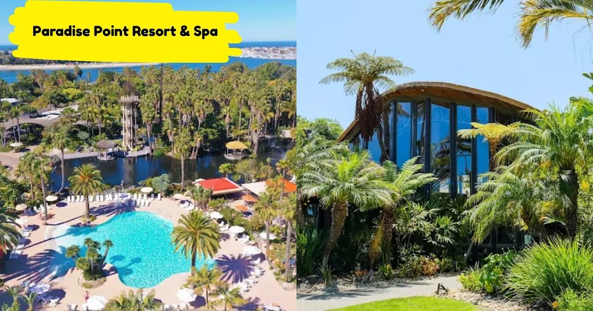 Tropical Paradise Point Resort & Spa on Mission Bay, a relaxing place to stay in San Diego.